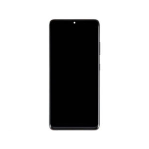 Samsung Galaxy S21 Ultra LCD Display